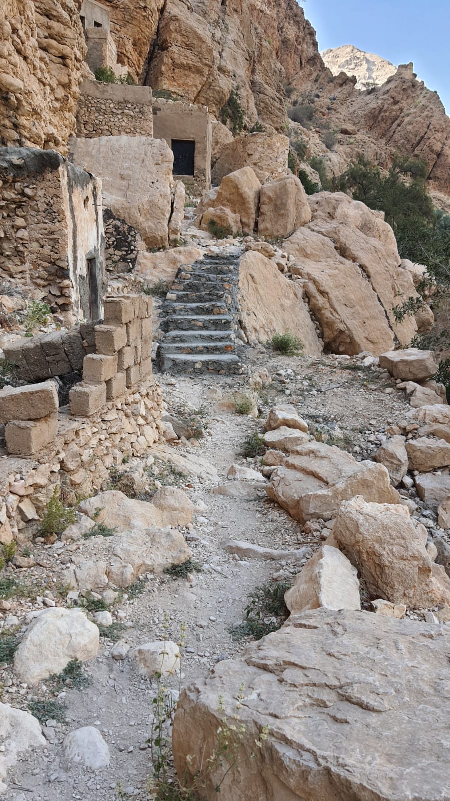 سلماه