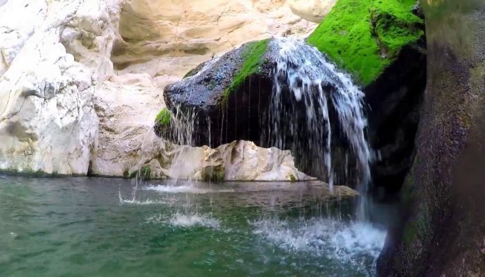 الأفلاج والعيون