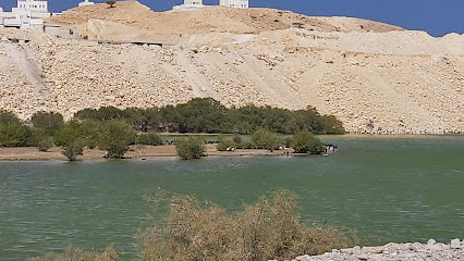 بحيرة الفلامنجو