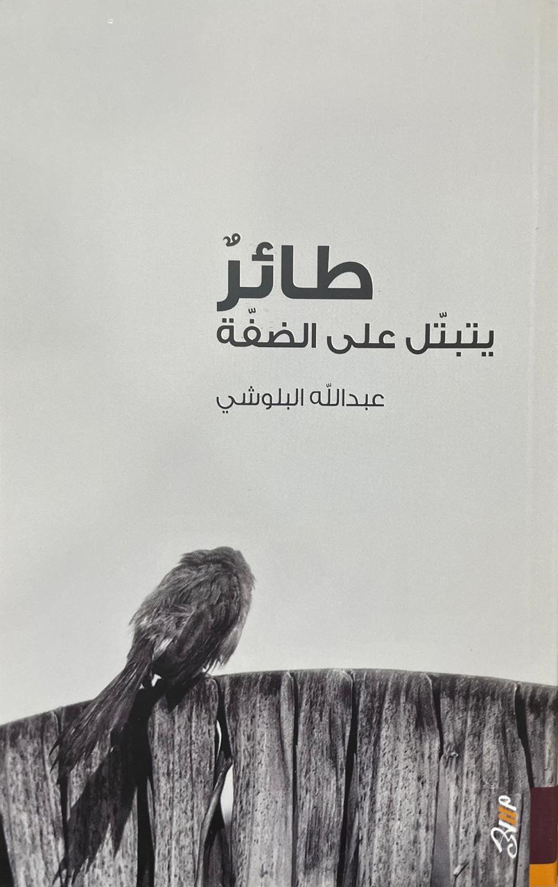 طائر يتبتل على الضفة